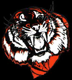 Tiger Lines, LLC Logo
