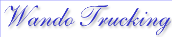 Wando Trucking, Inc./Roadrunner Trptn. Logo