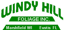 Windy Hill Foliage, Inc. Logo